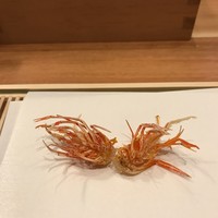 天婦羅 みやしろ - 車海老　足