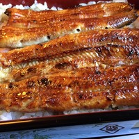 うなぎ割烹 大江戸 - 