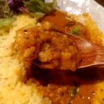 SPICY CURRY 魯珈 - マラバール風真鱈のタマリンドカレー＆ラムカレー