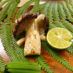 割烹 やました - 焼きまったけ（中国）