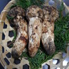 名促