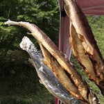 滝観洞観光センター - この大きさ、持ってるだけで重い