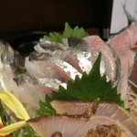 千代の追風 - 綺麗な鯵