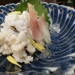 千代の追風 - 鱧の湯引き