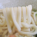 ちょんまげ侍 - 博多うどんらしいモチ・ヤワ・フワな食感の麺。オーソドックスな庶民派博多うどんです。