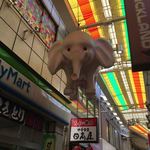 Hidakaya - リニューアルされたピンクの象さん