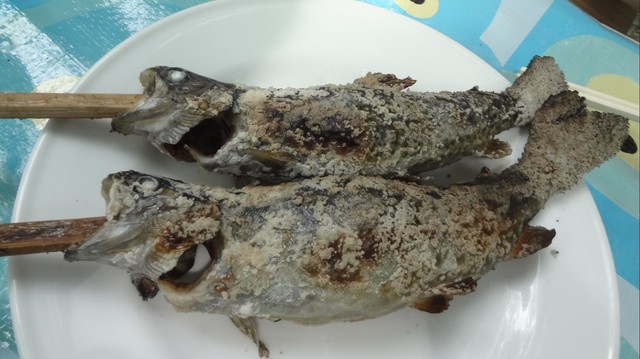 上川養鱒場 かみかわようますじょう 瀬戸市その他 魚介料理 海鮮料理 食べログ 上川養鱒場 かみかわようますじょう 瀬戸市その他 魚介料理 海鮮料理 食べログ