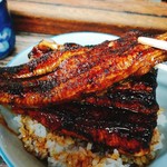 田代 - うなぎ丼(上)@4100円