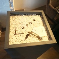 CORK - 