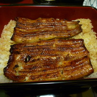 うなぎ割烹 大江戸 - 鰻重・ふみづき