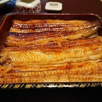 大塚 うなぎ宮川 - 洪水うなぎのアップ 201808
