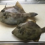 主婦の店 - なかなかのサイズでして…