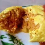 日の出食堂 - 鶏肉&玉ねぎのシンプルな具材