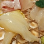 乙女寿司 - ◇お造り「ばい貝」