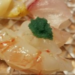 乙女寿司 - ◇お造り「子持ちぼたん海老」