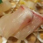 乙女寿司 - ◇お造り「真はた」