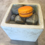 Ode - ミニャルディーズ（桃とトマトのマカロン）