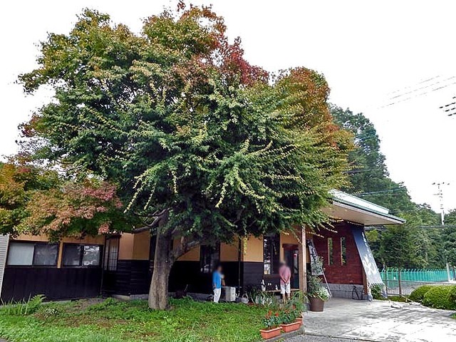 枥木 今市 saku  外观的相片