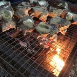 主婦の店 - 頂きモノ(^-^)