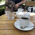 미하에루 - ブレンドコーヒーをいただきました