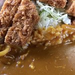 藤 - 「カツカレー（デカ盛）」接写。一口食して、「うん?! 旨い !!」このカレー、デカ盛りだからと行って侮ってはならない。存分に美味である。仕上げにプロならではの何らかの工夫が間違いなく加えられているだろう味わいである。