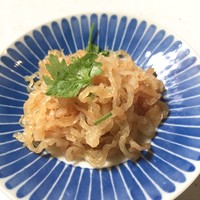 CINA New Modern Chinese - くらげ