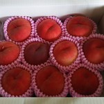 農家カフェ 森のガーデン - 