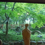 小さなホテル セラヴィ - ロビーの大きなガラスの緑は絵画のよう