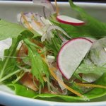鉛温泉　藤三旅館 - 水菜のサラダかな？