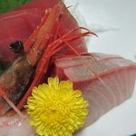 鉛温泉　藤三旅館 - お刺身、ブリ、マグロ、ボタンエビ