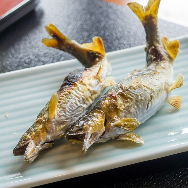 鮎料理の店 鮎の里 あゆのさと 砺波市その他 魚介料理 海鮮料理 食べログ 鮎料理の店 鮎の里 あゆのさと 砺波市その他 魚介料理 海鮮料理 食べログ
