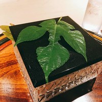うち山 - 