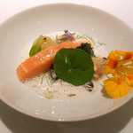 ミシェル・ブラス トーヤ ジャポン - 