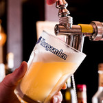 ビストロ酒場ジャンラフィット 蒲田東口店