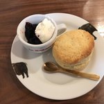 カプリ コーヒー ビーンズ - 