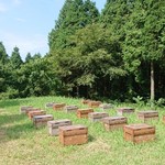 杉養蜂園 - 