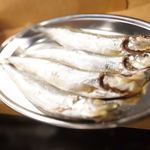 ホルモンと日本酒 ホルモン屋かねちゃん - ししゃも