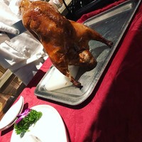 China Four Seasons 六本木店 - 北京ダック