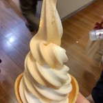 北海道どさんこプラザ - 夕張メロンとバニラのミックスソフトクリーム(390円)