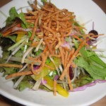 蕎麦 魯庵 - サラダ、揚げた蕎麦をトッピング