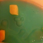 エンパイア・グリル - 