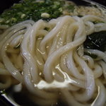 むさし 手打ちうどん - かけうどん　アップ