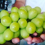 クレープリー チロル - 三枝さんの高級ピュアシャインマスカット