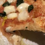 マッシモッタヴィオ - 