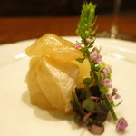 傳 - こうみだいの造り　4日観熟成した口美鯛