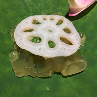 杦 - 