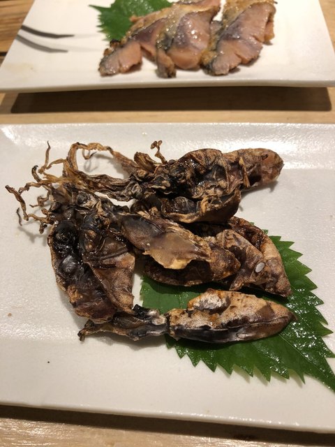 だしや 新百合ケ丘 居酒屋 食べログ