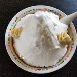 真上から見たところ