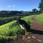 SUN - 帰りはいつもの赤堀せせらぎ公園で