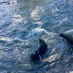 SUN - ひと泳ぎ❗️